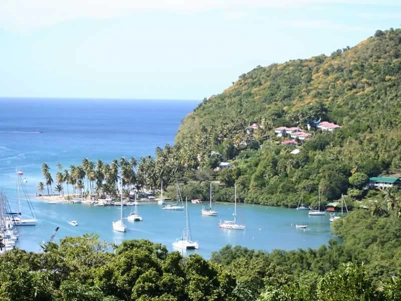 Passez des vacances inédites en Guadeloupe